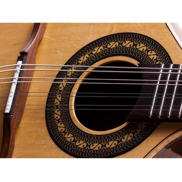 Bandolin rozini rb21acfi estudante acust natural fosco imbuia Imagem de Bandolin rozini rb21acfi estudante acust natural fosco imbuia