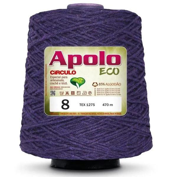 Imagem de Barbante Apolo Eco 8 Círculo 600g - 6498 Purpura