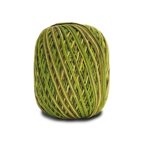 Imagem de Barbante Barroco Multicolor Premium 4/6 Circulo 400g