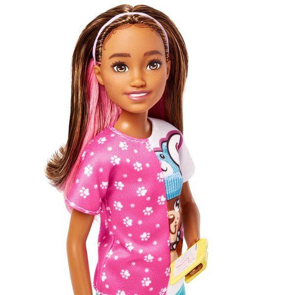 Imagem de Barbie Family Skipper FIRST JOBS DOG Walker Mattel HKD77