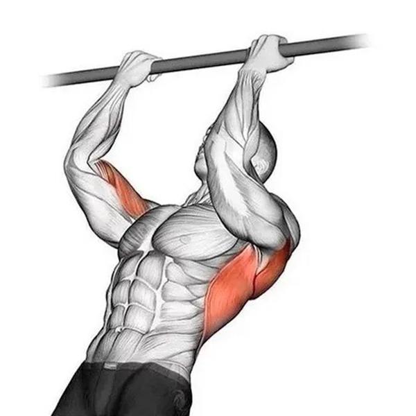 Imagem de Barra Fixa de Parede Pegada Mistatreino Cross Over Musculação em Casa exercício funcional