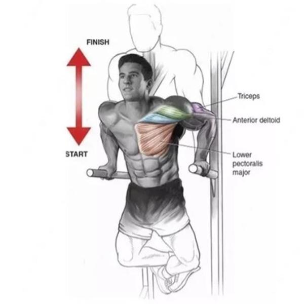 Imagem de Barra Paralela Dip De Parede Taf Calistenia E Musculação