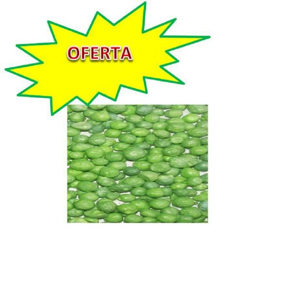 Imagem de Basacote Adubo Liberação Lenta 500 G 16-8-12-(9 M) O Melhor