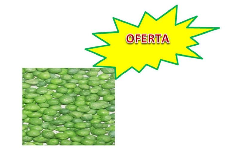 Imagem de Basacote Adubo Liberação Lenta 500 G 16-8-12-(9 M) O Melhor