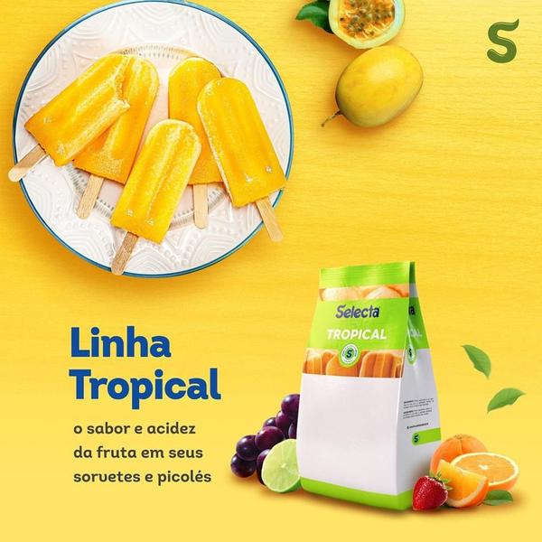 Imagem de Base Saborizante de Sorvete Selecta Tropical Maçã Verde 1kg