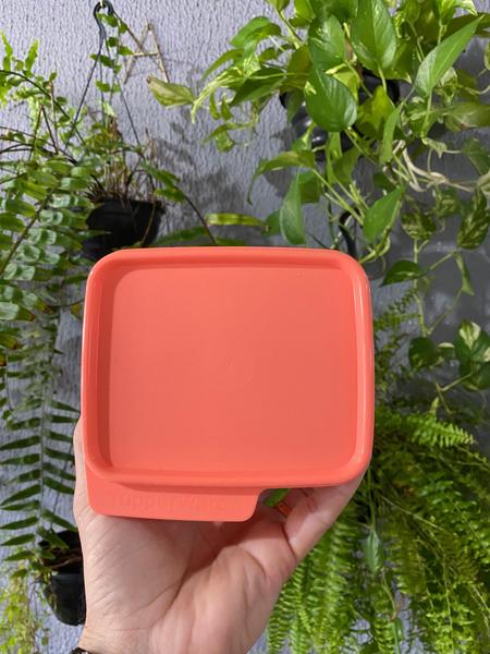 Imagem de Basic Line Tupperware