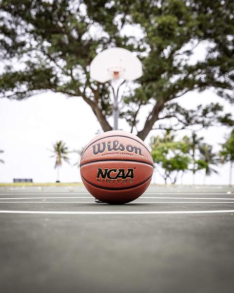 Imagem de Basketball Wilson NCAA Limited, tamanho 7, 29,5 cm, marrom