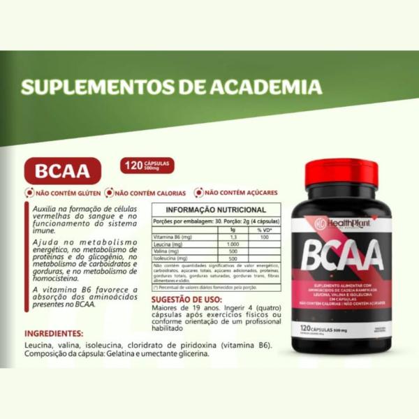 Imagem de BCAA - 120 Cápsulas 500mg - Suplemento Alimentar com Aminoácidos de Cadeia Ramificada Leucina - Valina - Isoleucina