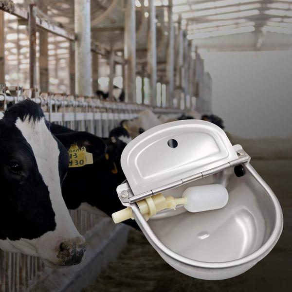 Bebedouro automático de água em aço inoxidável para gado - MUDUOBAN Imagem de Bebedouro automático de água em aço inoxidável para gado