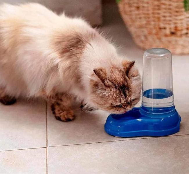 Imagem de Bebedouro Automático Para Cães E Gatos Antiformiga Para Água e Ração - 900ml VERMELHO