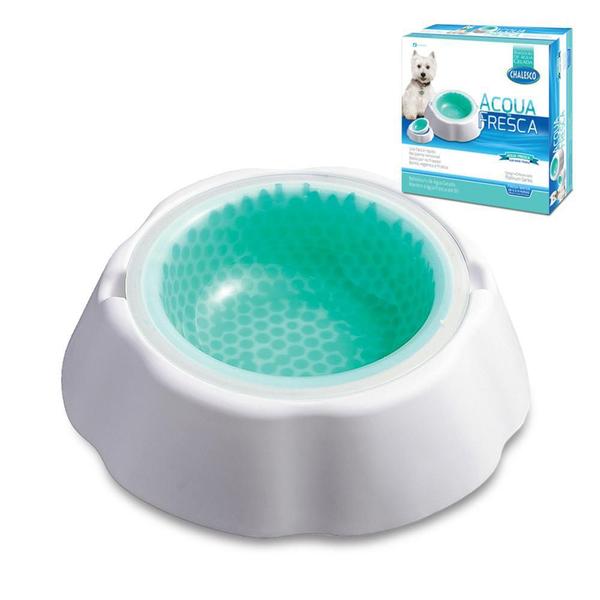 Bebedouro Térmico Acqua Fresca Chalesco Imagem de Bebedouro Térmico Acqua Fresca Chalesco