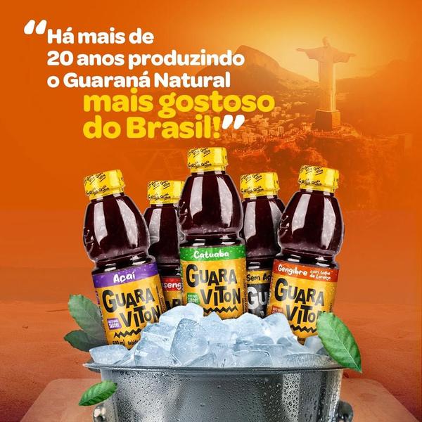 Imagem de Bebida Guaraviton Sabores C/ 12 Unidades 500ml