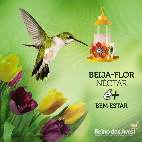 Beija-flor Néctar - 250g - Reino Das Aves Imagem de Beija-flor Néctar - 250g - Reino Das Aves