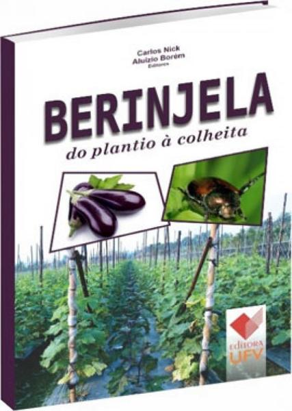 Imagem de Berinjela - do plantio à colheita