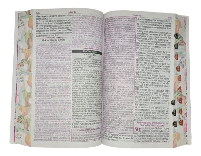 Imagem de Biblia da Pastora Pentecostal Assembleia de Deus Batista mulher sábia liturgia leitura ensinamento datas comemorativas