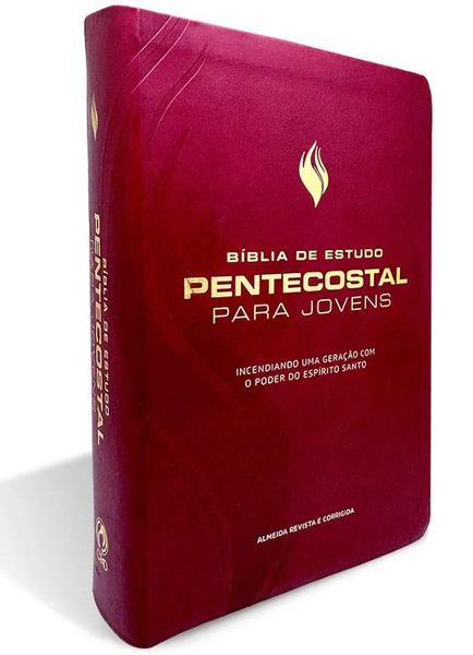 Imagem de Bíblia de estudo pentecostal para jovens média vinho