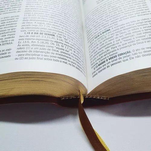 Imagem de Bibllia de Estudo Pentecostal para Juventude-Marrom