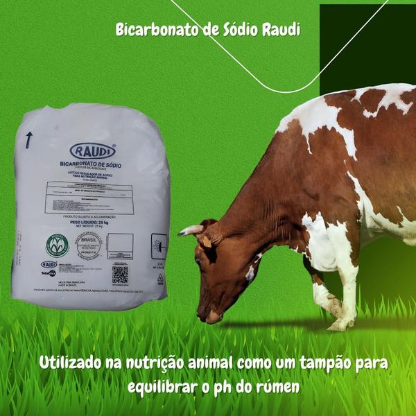 Imagem de Bicarbonato De Sódio Raudi 25 Kg