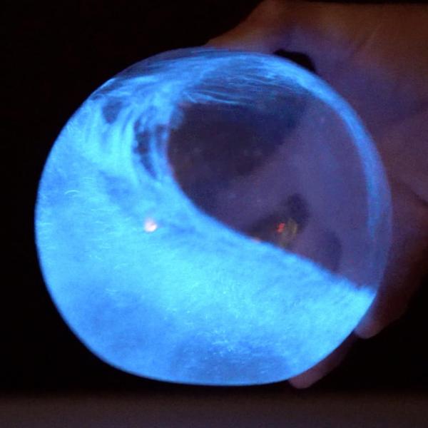 Imagem de Bioluminescente Bio-Orb Living Glass Sphere PyroDinos Plancton