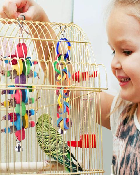 Bird Chew Toys Bissap Multicolor Bagel Cascade, 2 unidades Imagem de Bird Chew Toys Bissap Multicolor Bagel Cascade, 2 unidades