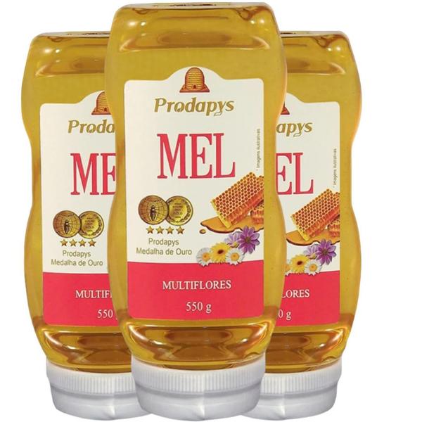 Imagem de Bisnaga 550g de Mel Multiflores Kit com 3