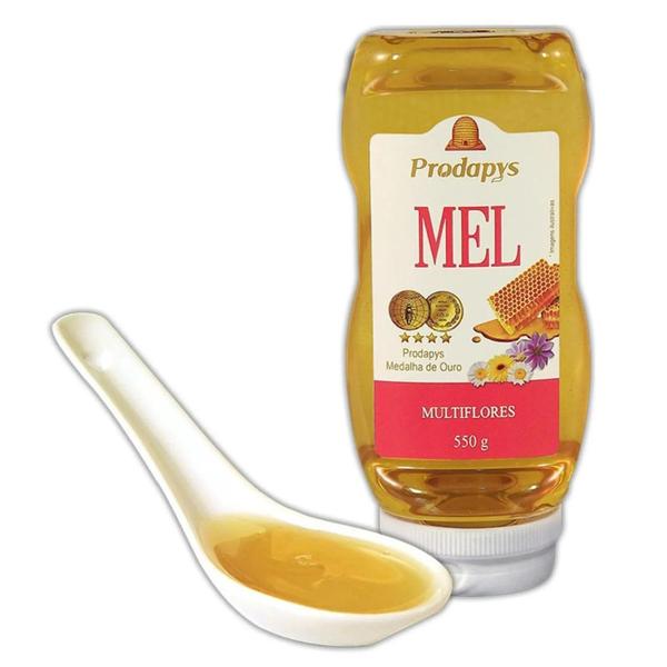 Bisnaga 550g de Mel Multiflores - Prodapys Imagem de Bisnaga 550g de Mel Multiflores