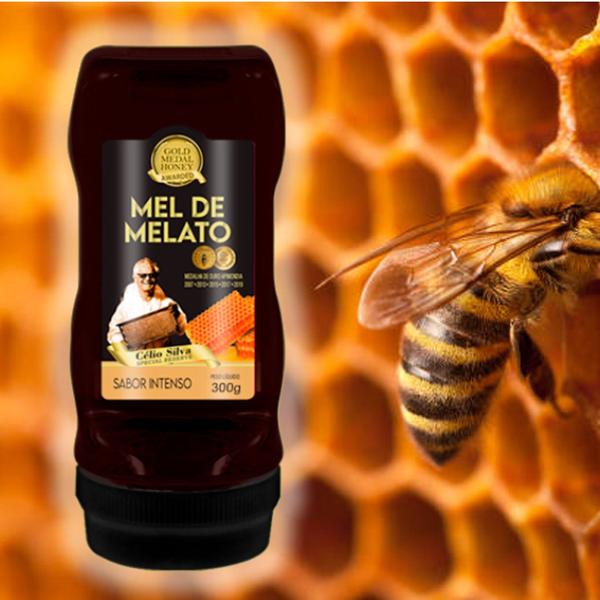 Imagem de Bisnaga Mel Reserve Intenso APIS NATIVA 300g