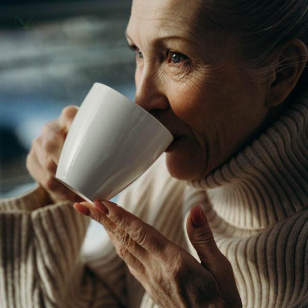 Blend - Chá para Menopausa - 100% Natural - Alta Qualidade - Rocha Saúde Imagem de Blend - Chá para Menopausa - 100% Natural - Alta Qualidade