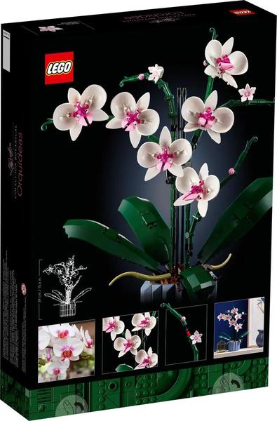 Imagem de Blocos de Montar -  Botanical Collection Orchid - 10311 - M BRINQ