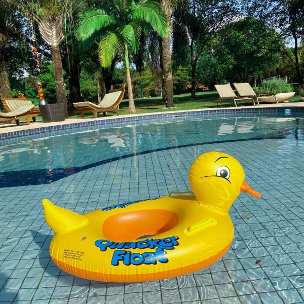 Imagem de Boia Bebê Patinho Com Assento E Alça Brinquedo Piscina Praia