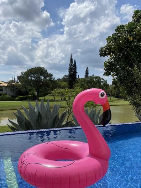 Imagem de Boia de Flamingo Rosa Para Piscinas / Muita Performance