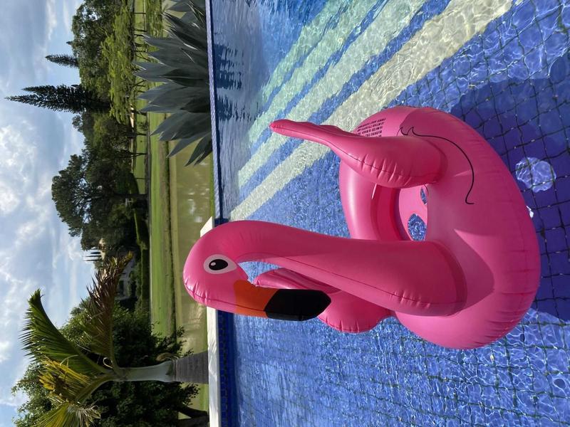 Imagem de Boia Infantil Flamingo  com Asas Bote Infantil P/ +1 de ano