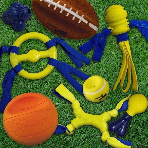 Imagem de Bola de Futebol de Brinquedo para Cães Nylabone Power Play Football Gripz