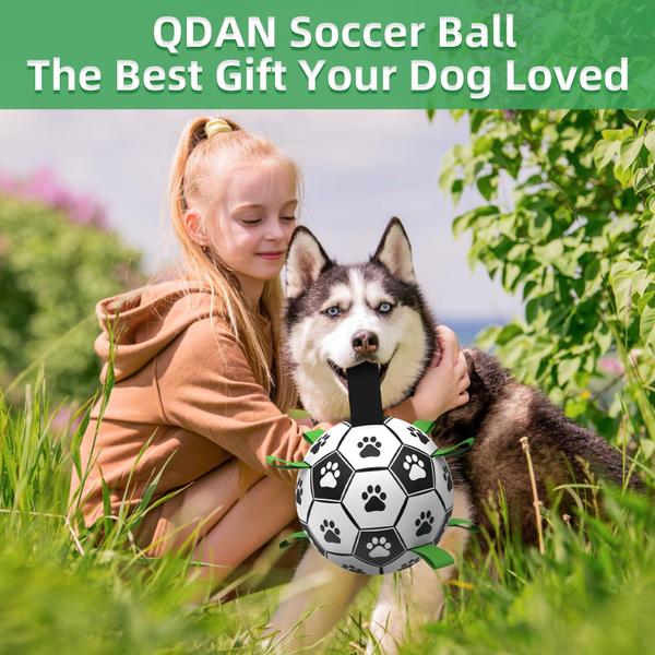 Imagem de Bola de futebol QDAN de brinquedo para cães com alças para cães grandes de 23 cm