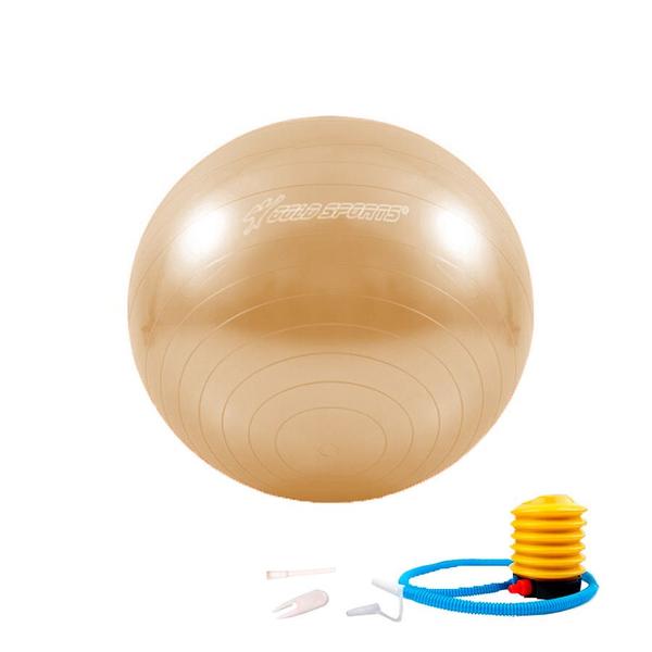 Imagem de Bola de Ginástica Gold Sports Pro 75cm Com Bomba de Encher Anti Explosão