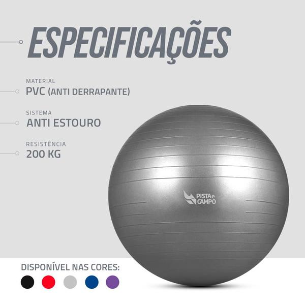 Imagem de Bola de Ginástica Gym Ball Inflável com inflador 75cm - Cinza