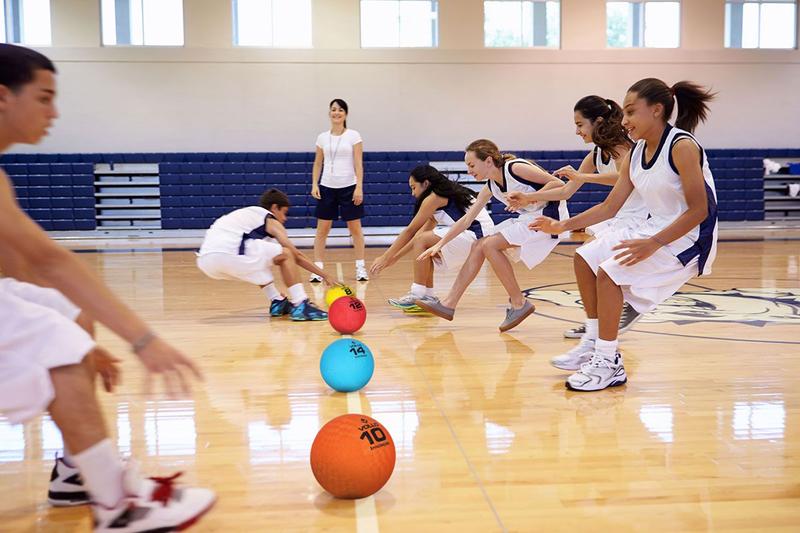 Bola de Iniciação Tamanho 8 Recreativa Queimada Handebol Resistente Macia Vollo Imagem de Bola de Iniciação Tamanho 8 Recreativa Queimada Handebol Resistente Macia Vollo