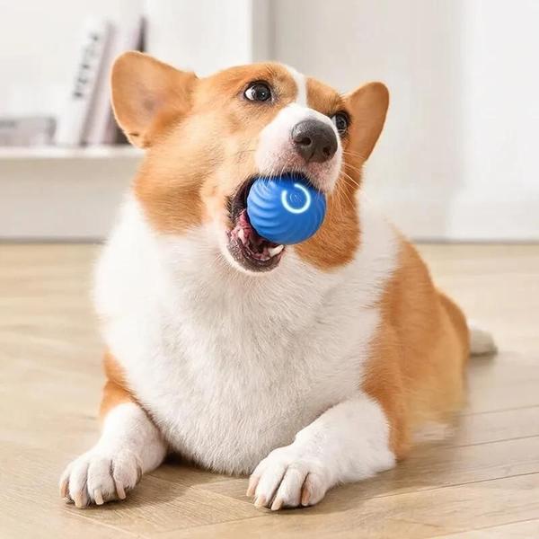 Imagem de Bola de Salto Inteligente Recarregável - Resistente à Mordida - Brinquedo Interativo para Pets