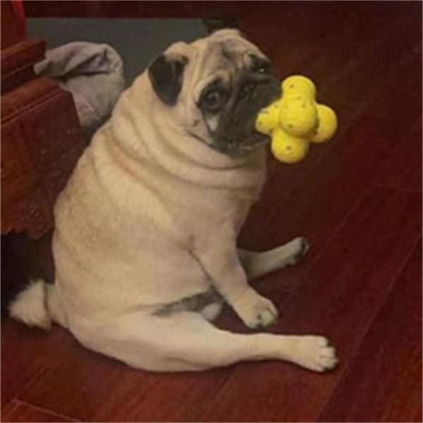 Imagem de Bola de Tênis Calmante para Cachorro - Brinquedo Amarelo para Suporte Emocional (2024)