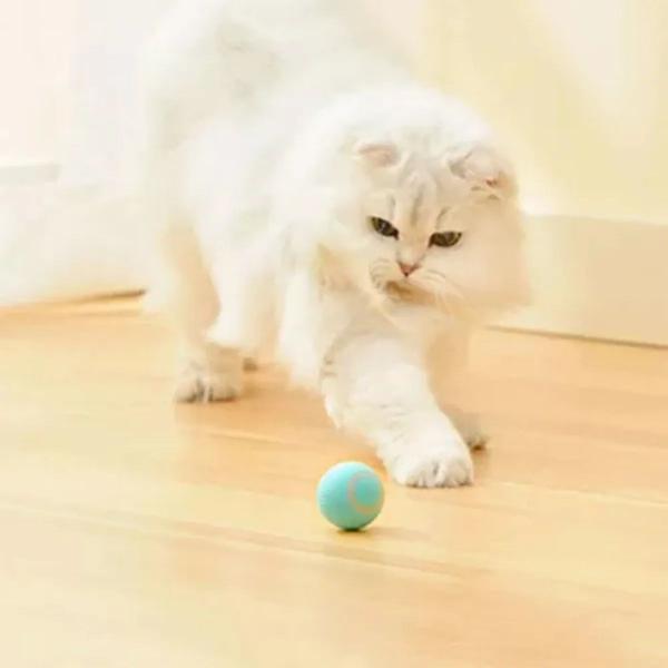 Bola Giratoria Inteligente Gato Pet Animal de Estimaçao Bolinha Brinquedo Usb Bateria Recarrevagel Petshop Interativo Relaxante Lazer - Compre Imagem de Bola Giratoria Inteligente Gato Pet Animal de Estimaçao Bolinha Brinquedo Usb Bateria Recarrevagel Petshop Interativo Relaxante Lazer