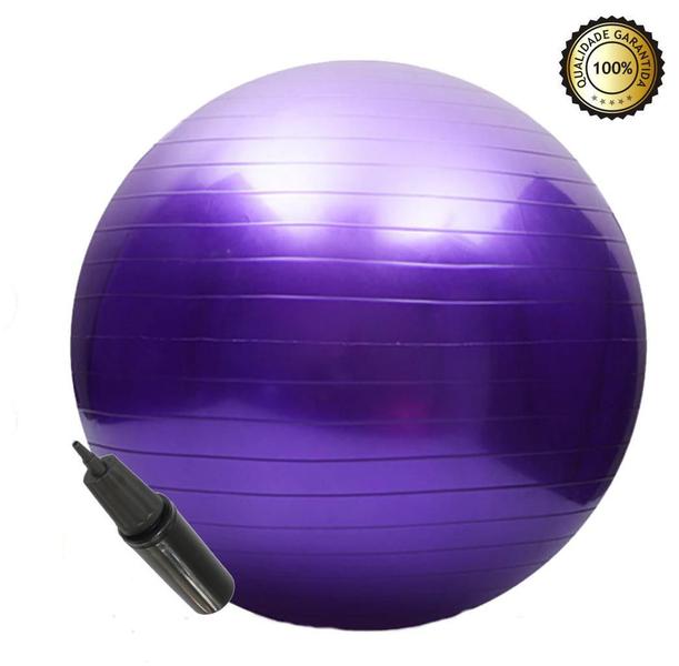 Imagem de Bola Pilates Suica Yoga Ginastica 65Cm Com Bomba De Mão