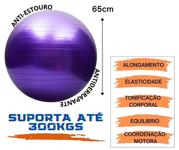 Imagem de Bola Suiça Pilates Yoga 65cm Anti-Estouro  1 Fit