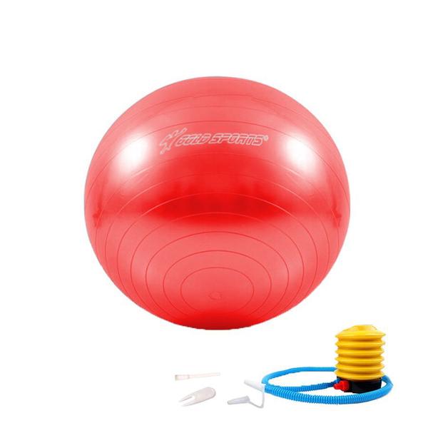 Imagem de Bola Suiça Pilates Yoga Advance 55cm Com Bomba de Encher Gold Sports