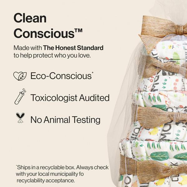 Imagem de Bolo de fraldas The Honest Company Clean Conscious tamanho 1