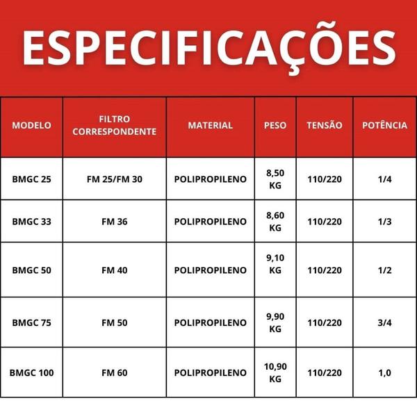 Imagem de Bomba bmgc - 25 mono 60hz