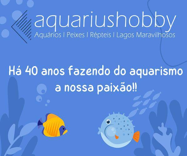 Imagem de Bomba Submersa 400l/h Boyu Sp 1300 9w Aquario Peixes