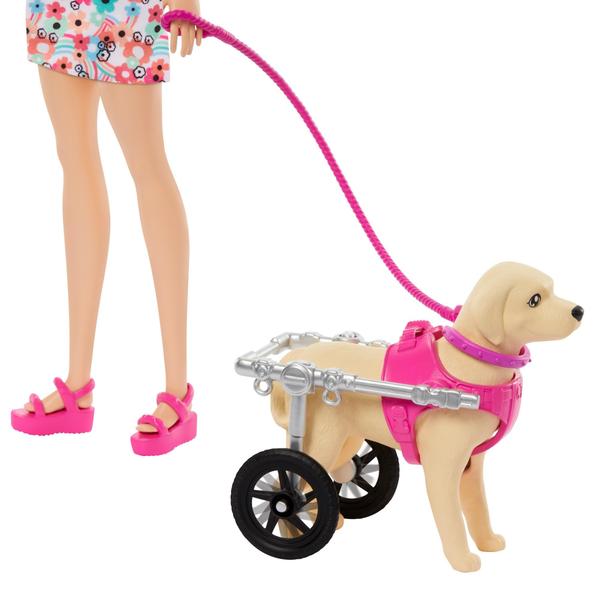 Imagem de Boneca Barbie de brinquedo com cachorrinho de brinquedo e cachorro em cadeira de rodas +acessórios