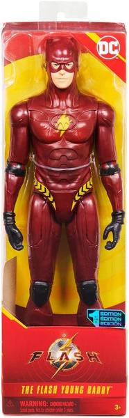 Imagem de Boneco - The Flash Young Barry DC ( 3411 ) SUNNY BRINQUEDOS