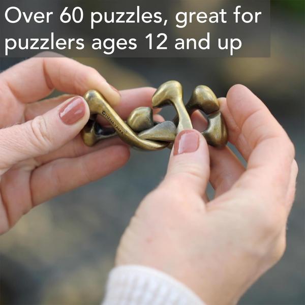 Imagem de Brainteaser Puzzle BePuzzled Hashtag Hanayama Nível 4