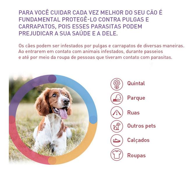 Imagem de Bravecto 1000mg Para Cães de 20kg A 40kg